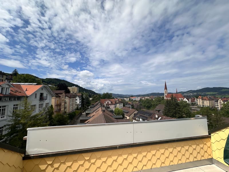 Hochwertige 3.5-Zimmer-Dachmaisonette-Wohnung mit Komfort (2)