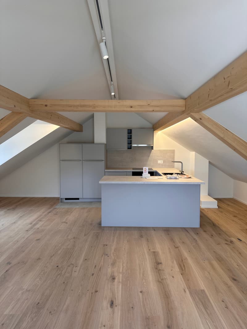 Hochwertige 3.5-Zimmer-Dachmaisonette-Wohnung mit Komfort (4)