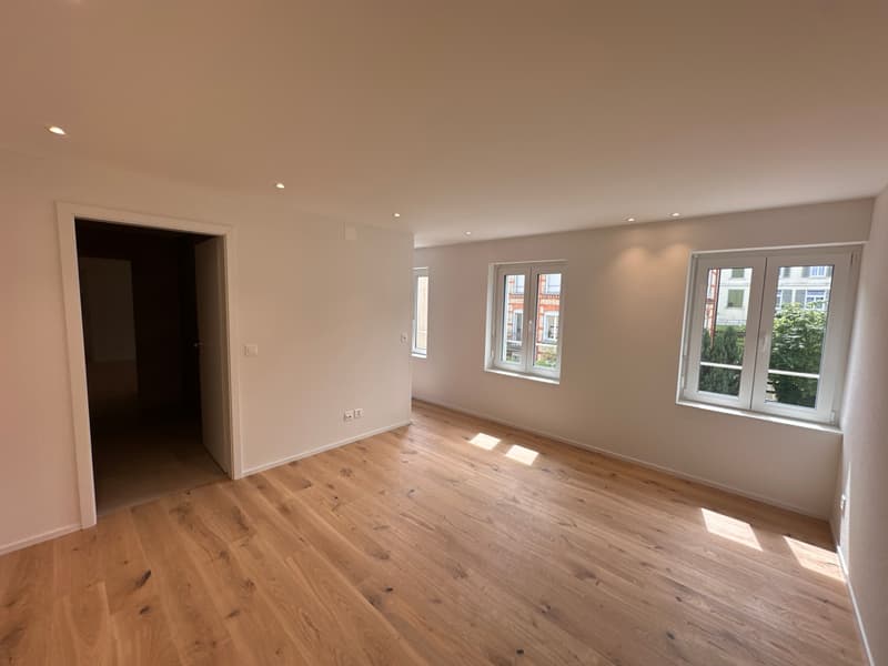 Hochwertige 3.5-Zimmer-Dachmaisonette-Wohnung mit Komfort (7)