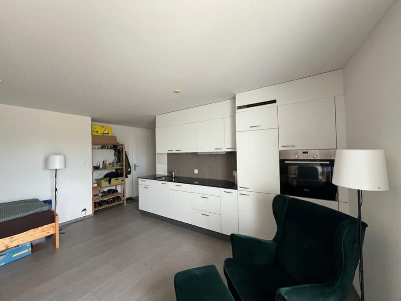 Charmante 1.0-Zimmer-Wohnung zu vermieten! (4)