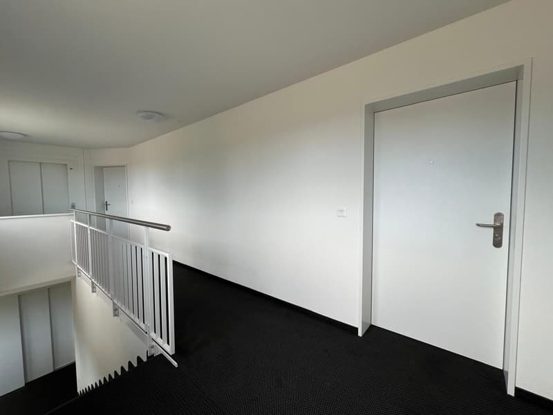 Charmante 1.0-Zimmer-Wohnung zu vermieten! (6)