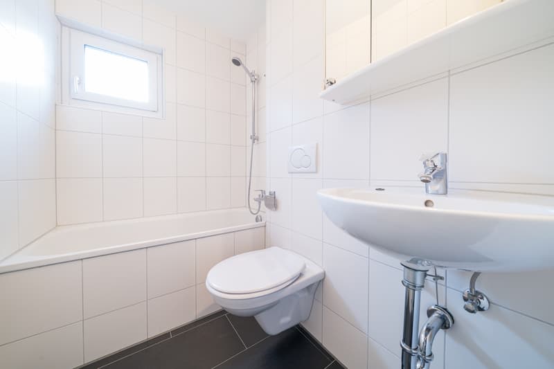 Zentrale schöne 3-Zimmer Wohnung zur Verfügung (8)