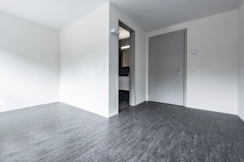 Moderne 1-Zimmerwohnung zu vermieten (3)