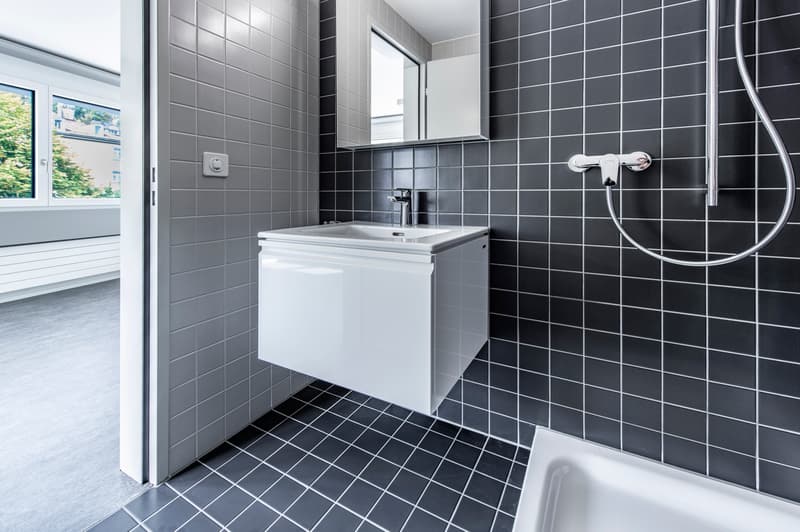 Moderne 1-Zimmerwohnung zu vermieten (4)