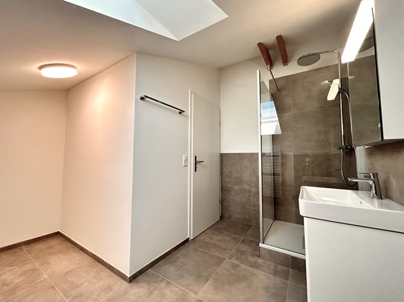 Traumhafte 2.5-Zimmer-Loftwohnung (7)