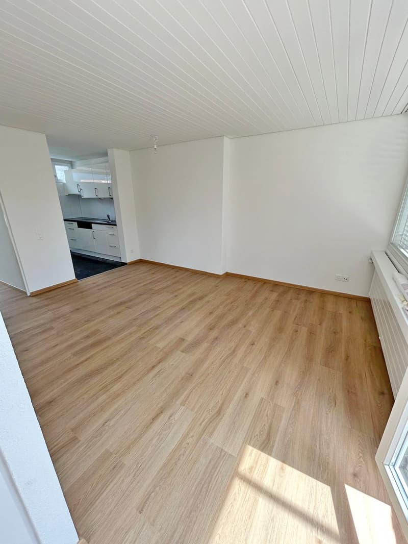 2.5-Zimmerwohnung in mitten Solothurn zu Vermieten (4)