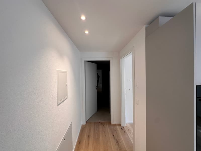 Moderne 2.5-Zimmer-Wohnung an zentraler Lage (4)