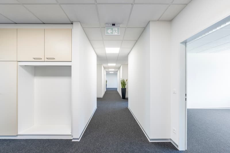 The image shows a long, well-lit office corridor with white walls, a gray carpeted floor, and recessed lighting in the ceiling. There are built-in cabinets or storage units along one wall, and a potted plant can be seen in the distance. The corridor appea