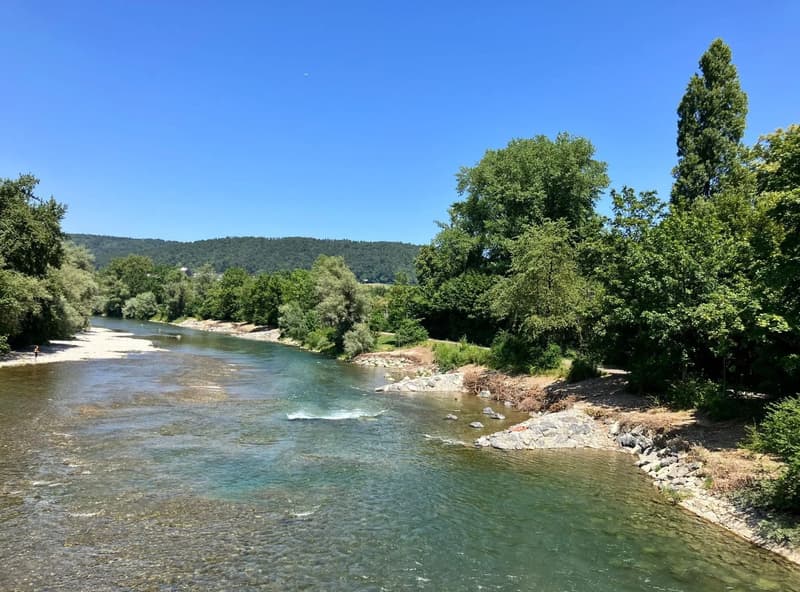 Entre Limmat et Hardwald (2)