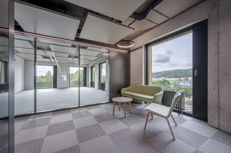 modern office room with glass walls, wooden floor, green sofa, wooden table, white chair, large window with view