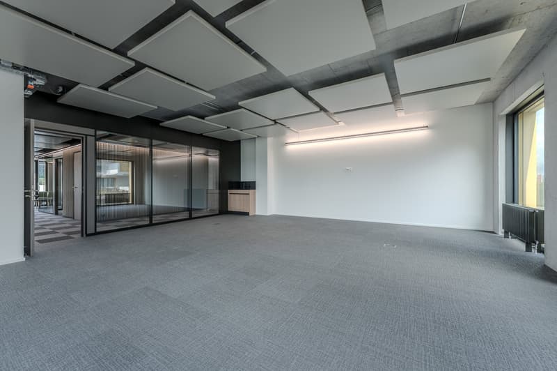 empty room, white walls, gray floor, glass doors, glass windows, ceiling panels