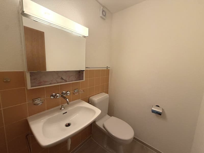 Gemütliche 3.5-Zimmer-Hochparterrewohnung mit zwei Balkonen an zentraler Lage (10)
