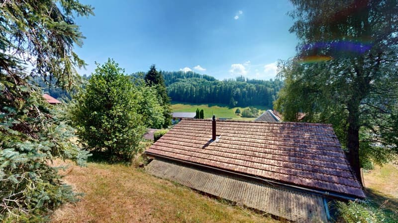 Idyllic farmhouse in a quiet location with two apartments and a tiny house (3)