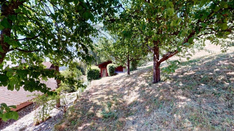 Idyllic farmhouse in a quiet location with two apartments and a tiny house (5)