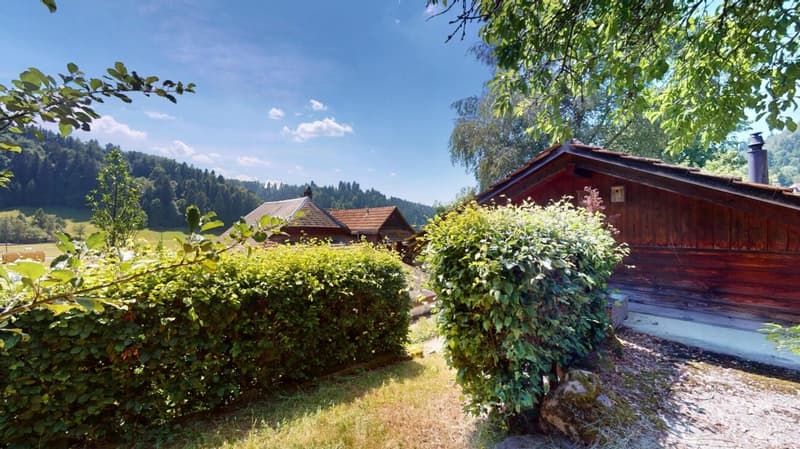 Idyllic farmhouse in a quiet location with two apartments and a tiny house (6)