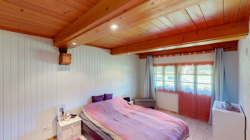 Idyllic farmhouse in a quiet location with two apartments and a tiny house (10)