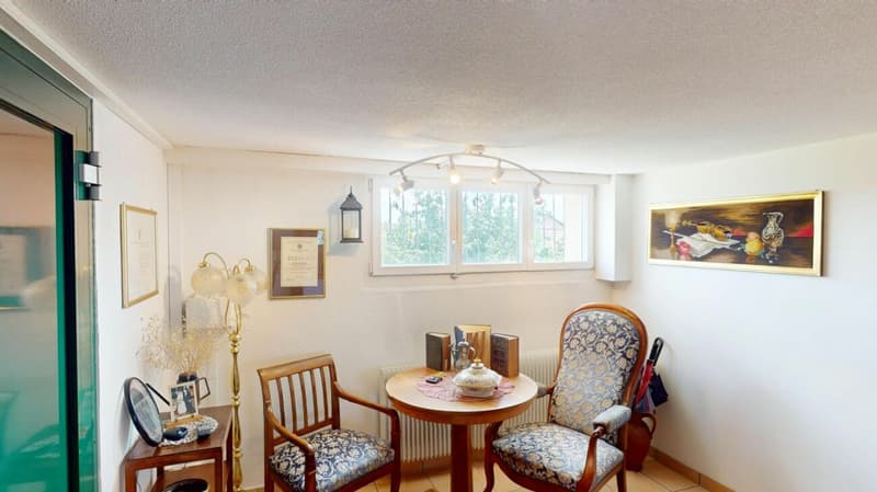 Einfamilienhaus mit grossem Garten und Alpensicht (3)