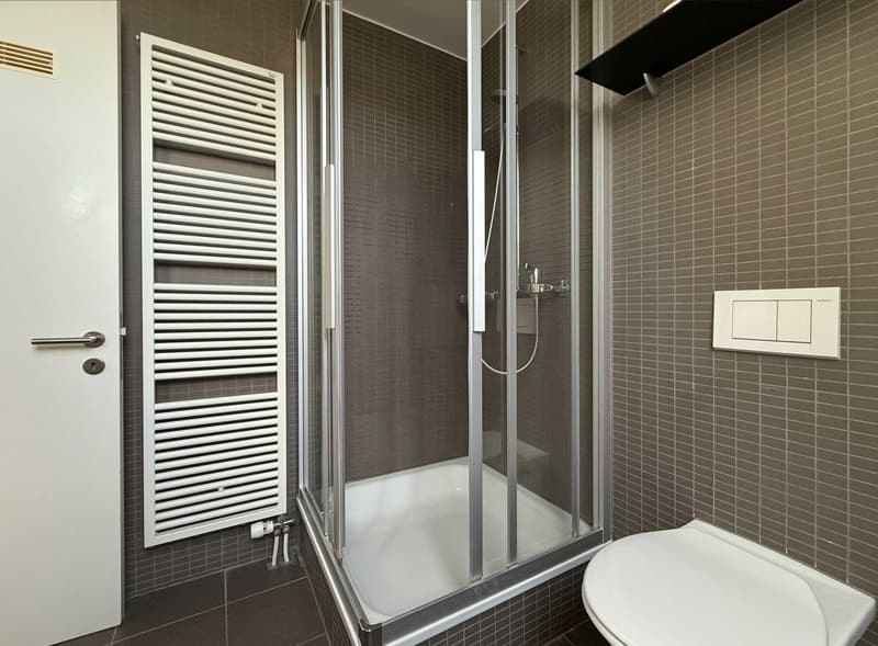 Aussergewöhnliche 4.5-Zimmer-Maisonette-Wohnung an zentraler Lage in Rheinfelden zu vermieten (11)