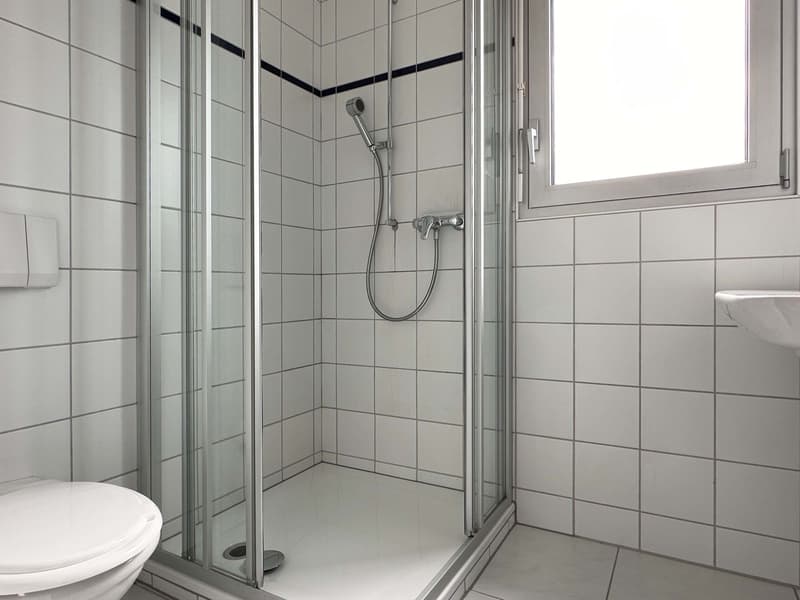 Einzigartige 5.5-Zimmer-Wohnung auf dem Dach des Birchi Centers (11)