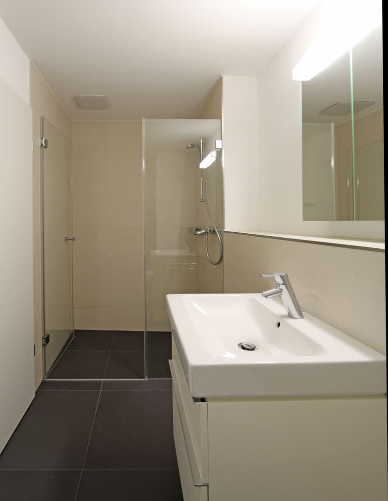 TOP 3.5-ZIMMER-ERDGESCHOSSWOHNUNG AN RUHIGER UND DOCH ZENTRALER LAGE IN FRICK (8)