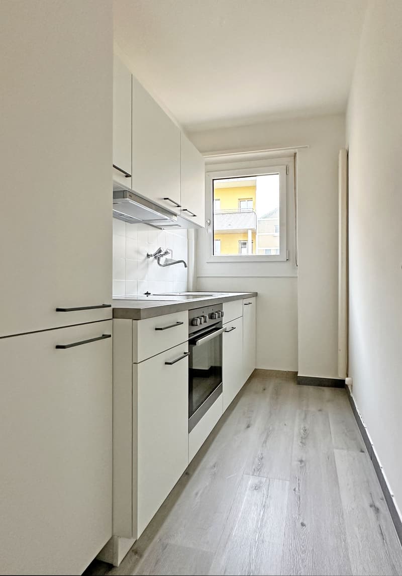 ZENTRAL GELEGENE, ERNEUERTE 1-ZIMMER-WOHNUNG AN DER BIRS (4)