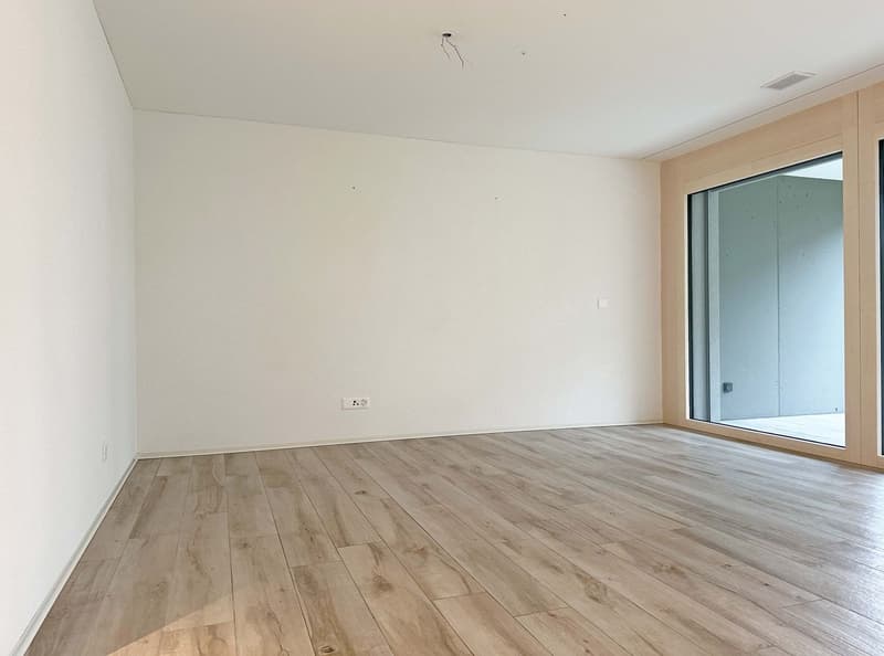 Tiersteinblick, EXKLUSIVE 3.5-ZIMMER-WOHNUNG IN GIPF-OBERFRICK - Hier werden Wohnträume wahr! (5)