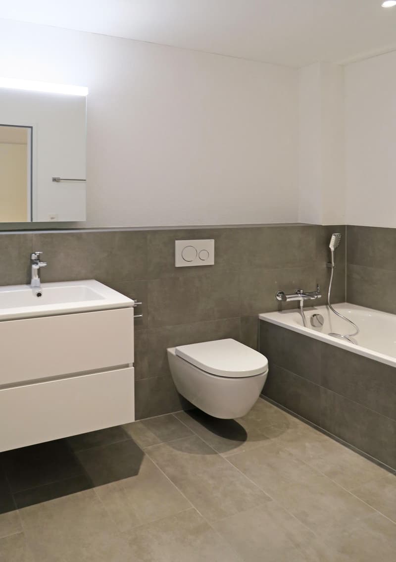 PANORAMA ZEININGEN - Wohnen im Grünen mit Aussicht (7)
