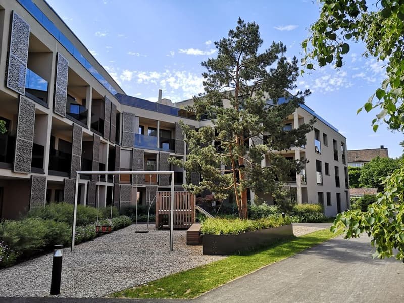 WOHNTRAUM IM DORFZENTRUM IN FRICK! (4)