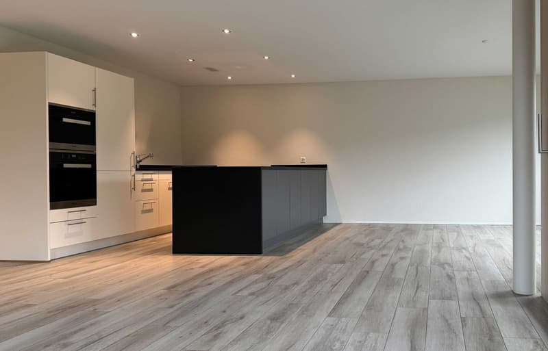 WOHNTRAUM IM DORFZENTRUM IN FRICK! (3)