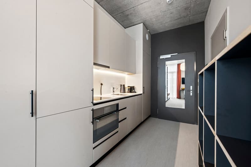 Modern minimalist kitchen with white cabinets, gray countertop, sink, built-in oven and refrigerator