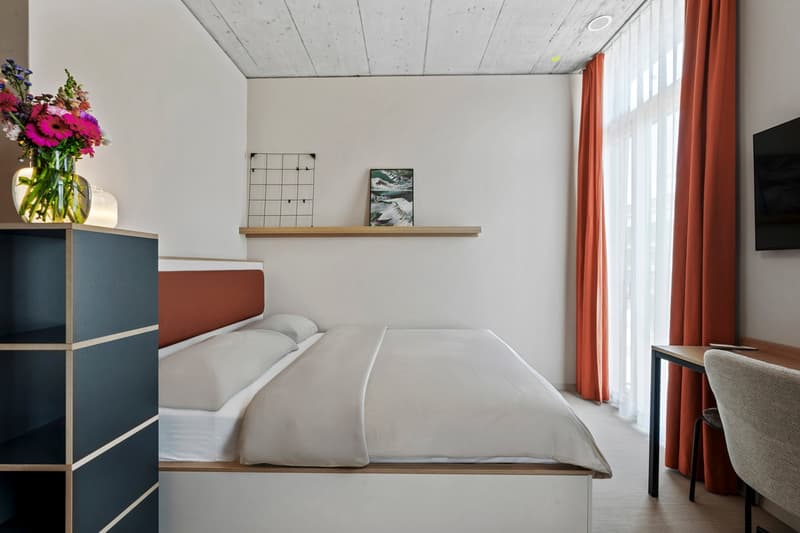 double bed, nightstand, desk, chair, flowers, TV