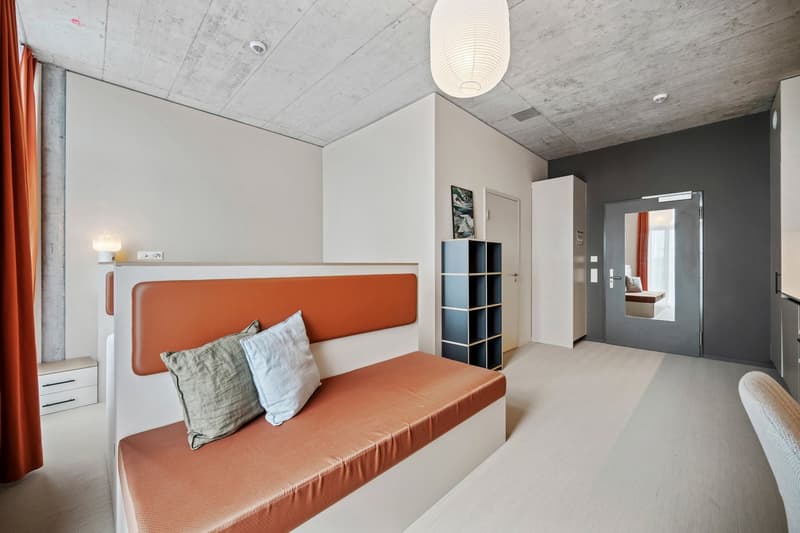 Spacy Design Apartment (4)