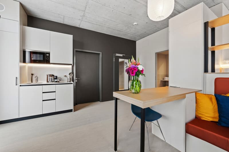Family Suite Deluxe Design Apartment (19)