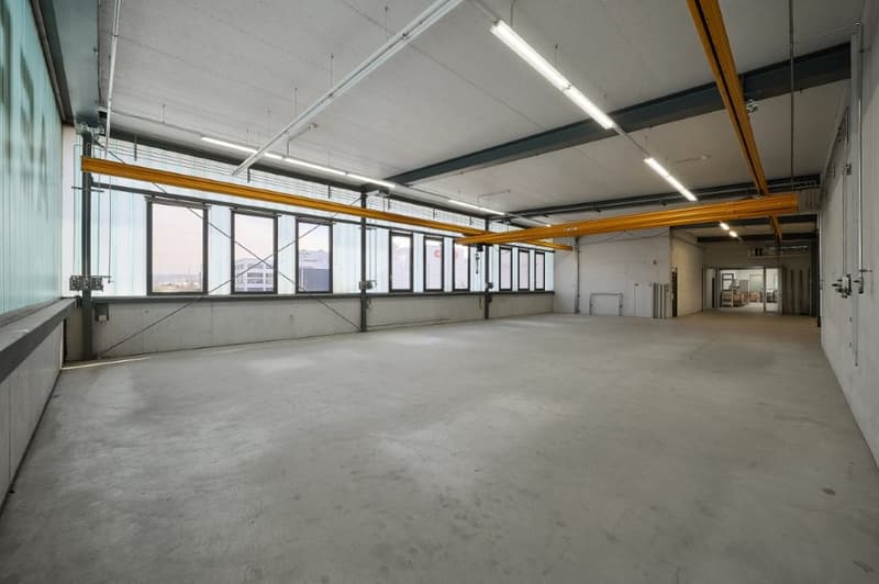Gewerbe und Büro in Einem! (3)