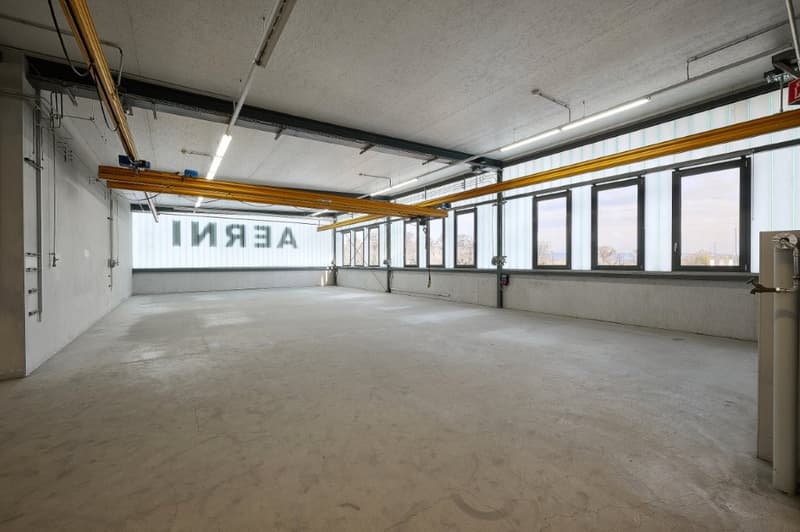 Büro und Gewerbe in Einem! (6)
