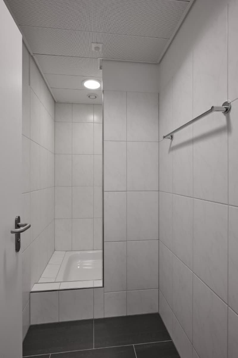 Büro und Gewerbe in Einem! (9)