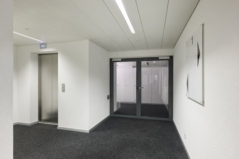 Repräsentativer Geschäftssitz (6)