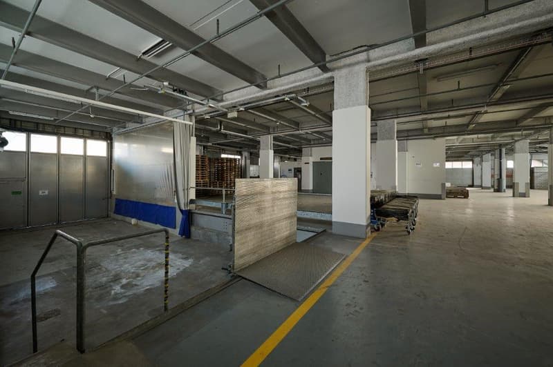 HafenWerk Birsfelden - Mehr Raum für Ihre Logistik. (2)