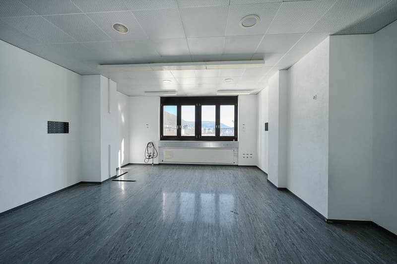HafenWerk Birsfelden – Werkstatt / Gewerbe (1)
