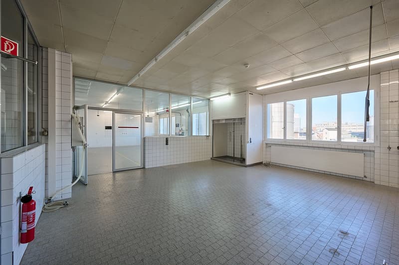 HafenWerk Birsfelden – Werkstatt / Gewerbe (6)