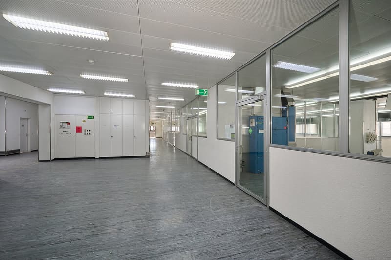 HafenWerk Birsfelden – Werkstatt / Gewerbe (2)