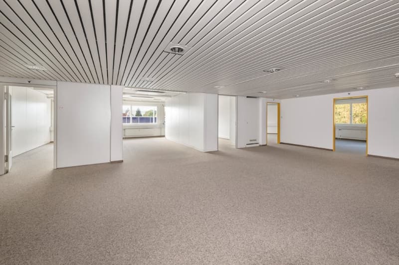 Büro mit Perspektive (4)