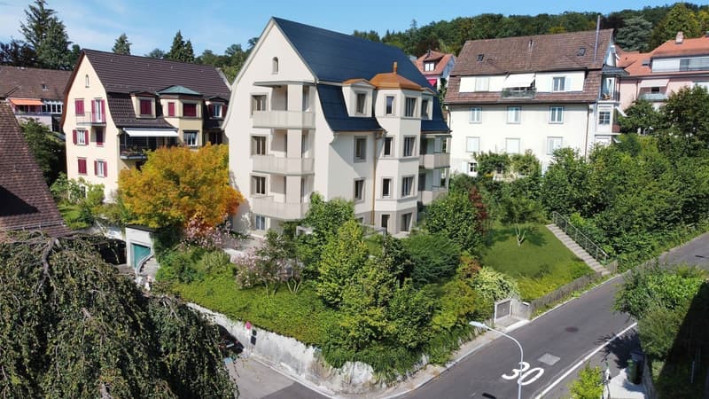 Wohnen mit Sicht auf den Hausberg von Zürich (1)