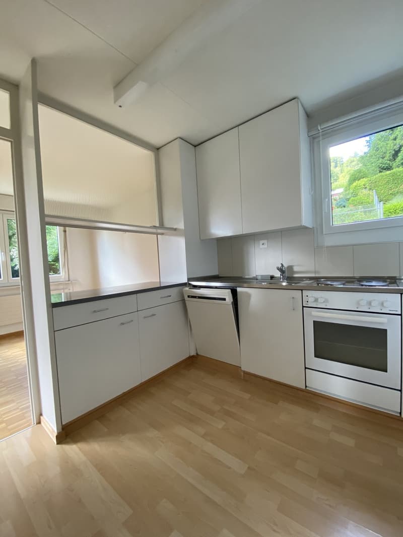 3.5-Zimmer-Wohnung in Horgen zu vermieten (3)
