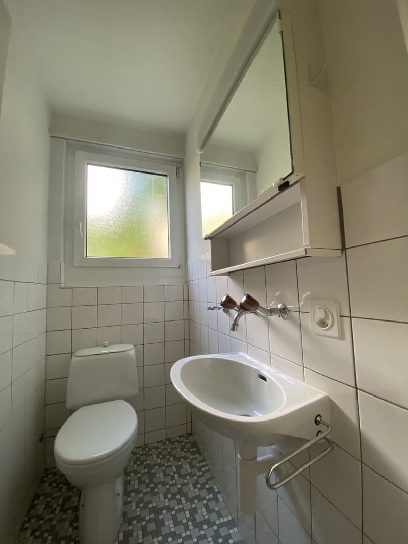 3.5-Zimmer-Wohnung in Horgen zu vermieten (10)