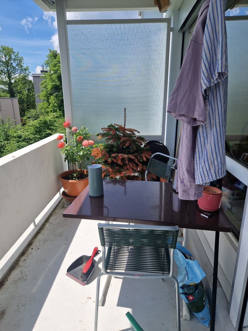 Gemütliche Wohnung an ruhiger Lage im Grünen (3)