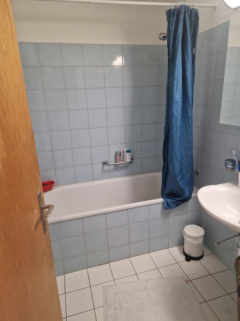 Gemütliche Wohnung an ruhiger Lage im Grünen (6)