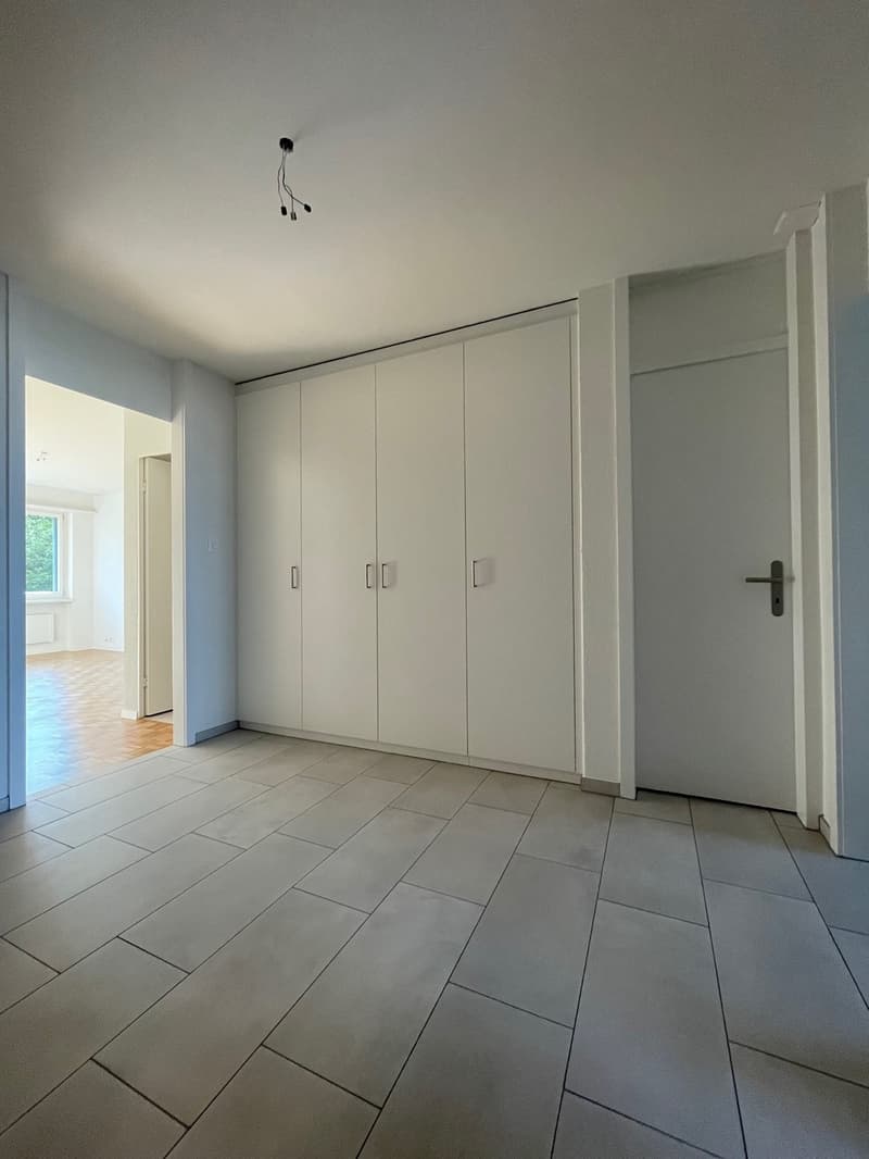 Über den Dächern von Zürich (8)