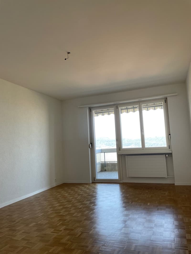 Über den Dächern von Zürich (9)
