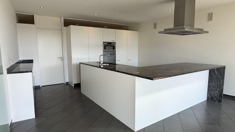 Exklusive Terrassenwohnung in Herrliberg (4)